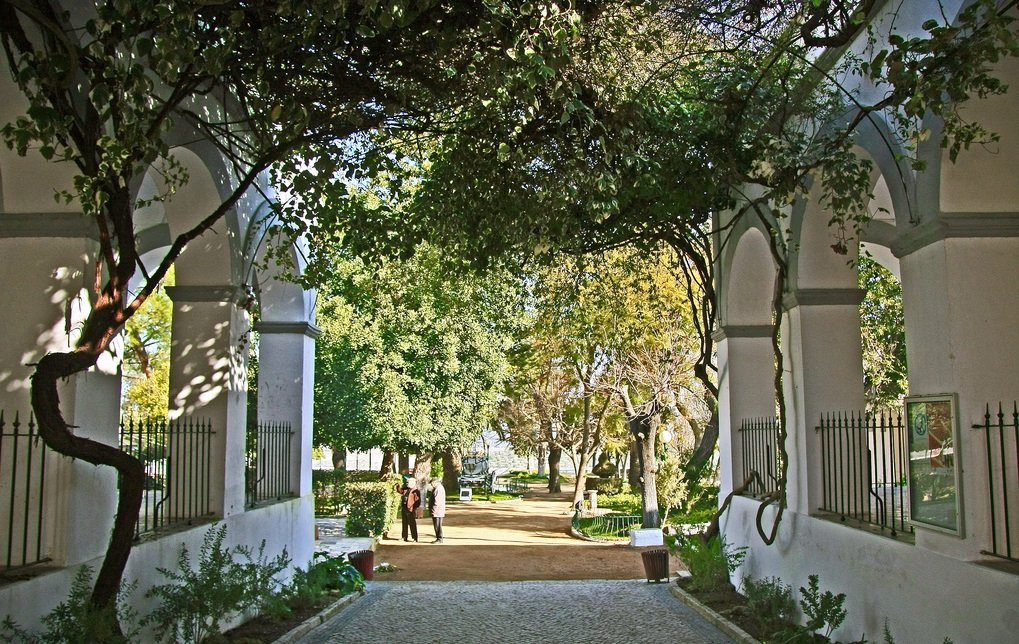 Jardim Doutor Santiago景点图片