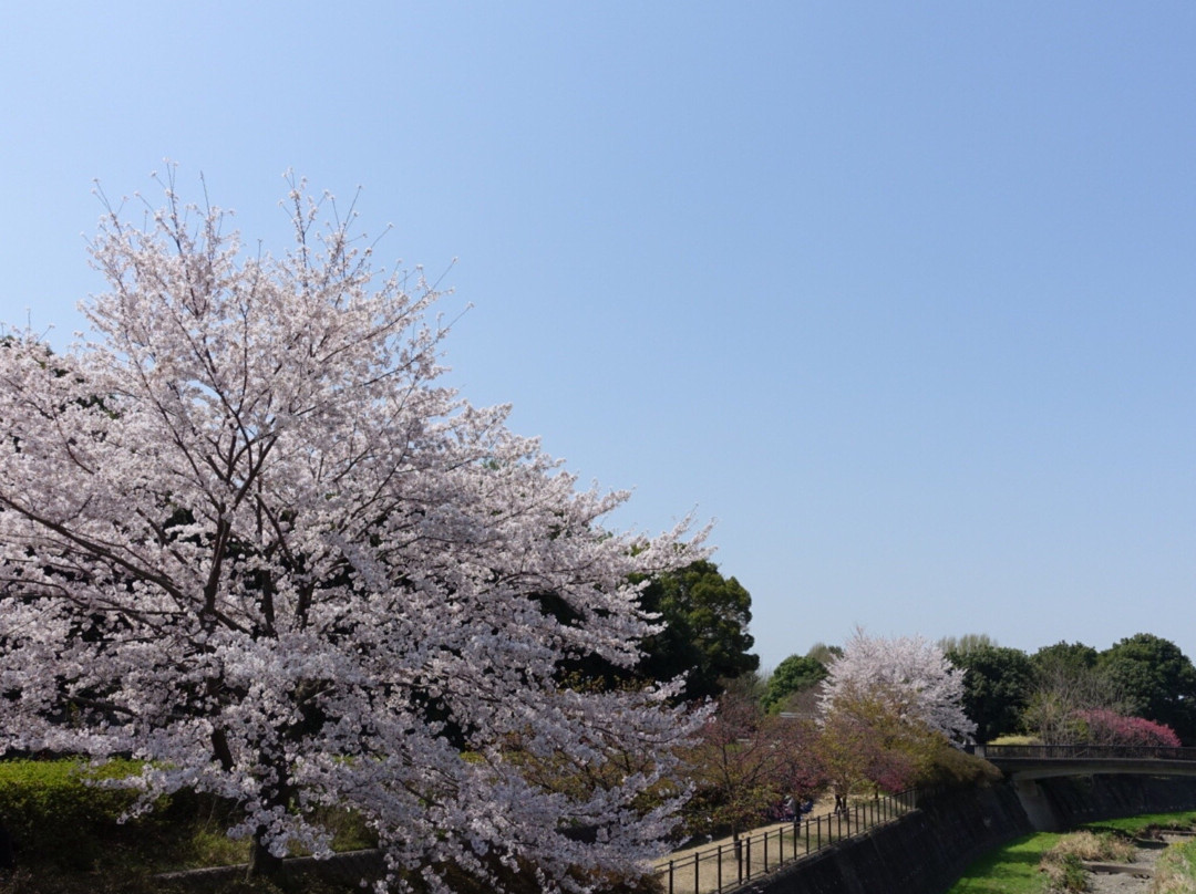 Showa Park-昭岛市必去景点