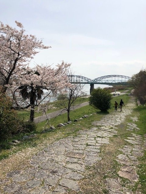 Kasamatsu Minato Park-笠松町必去景点