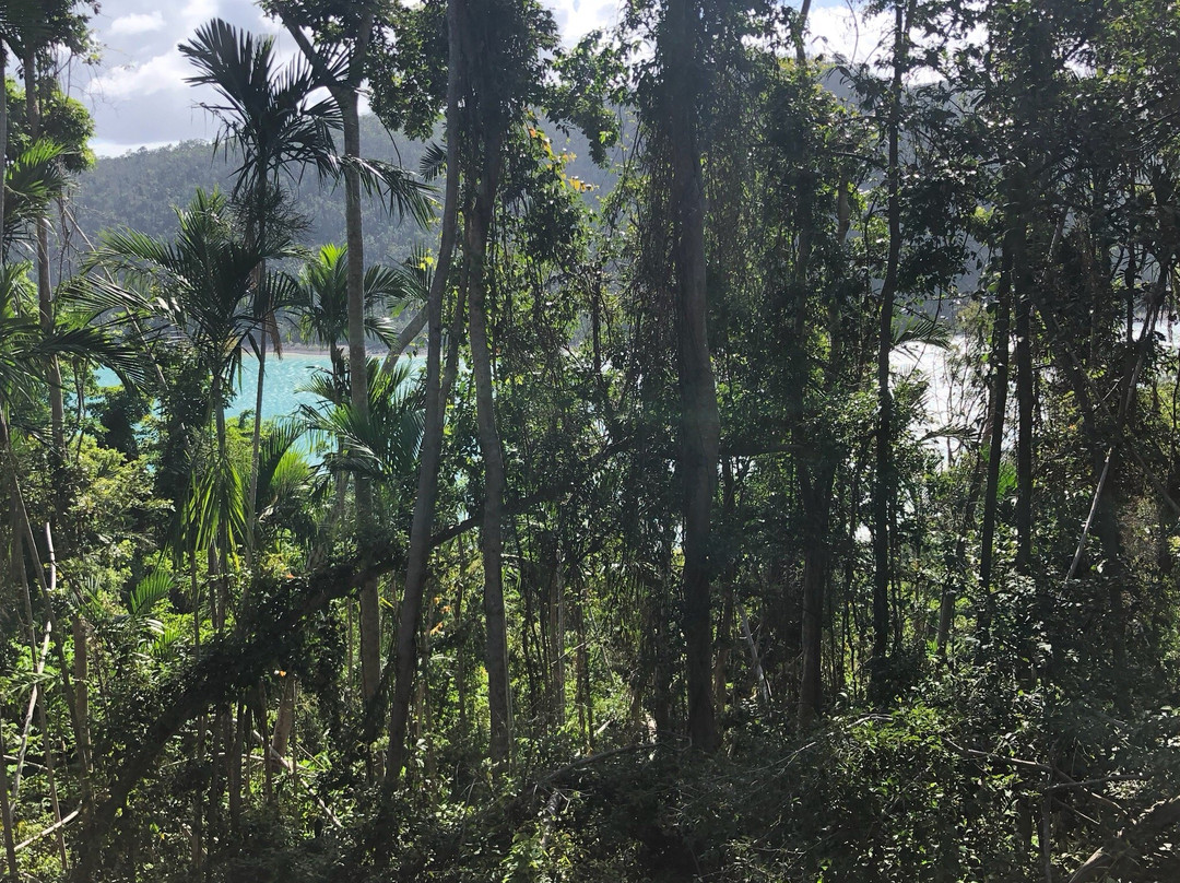 Molle Islands National Park-长岛必去景点