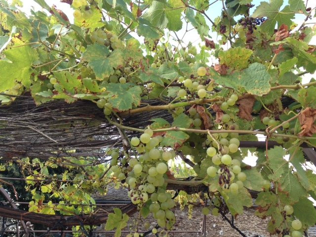 Domaine de Lasfonds主图