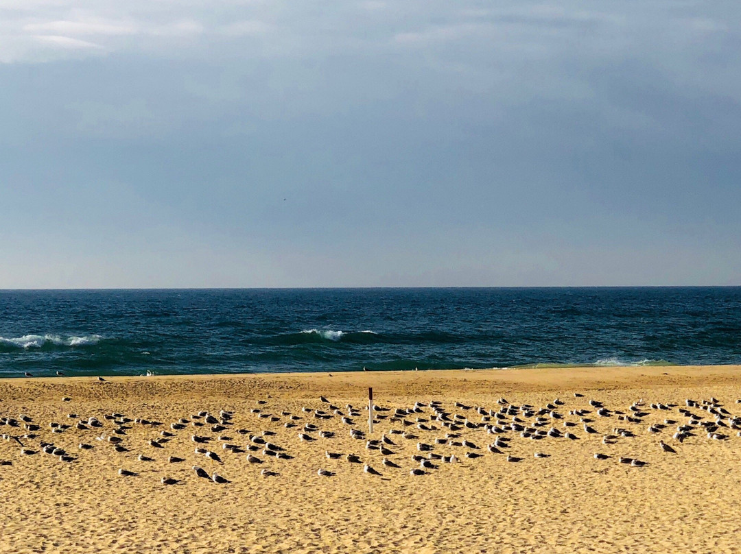 Residencial Vila Formosa主图