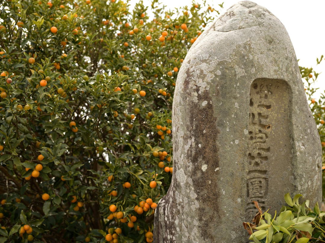 Senkoji Temple景点图片