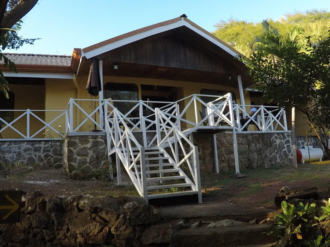 Playa Matapalo旅游攻略图片