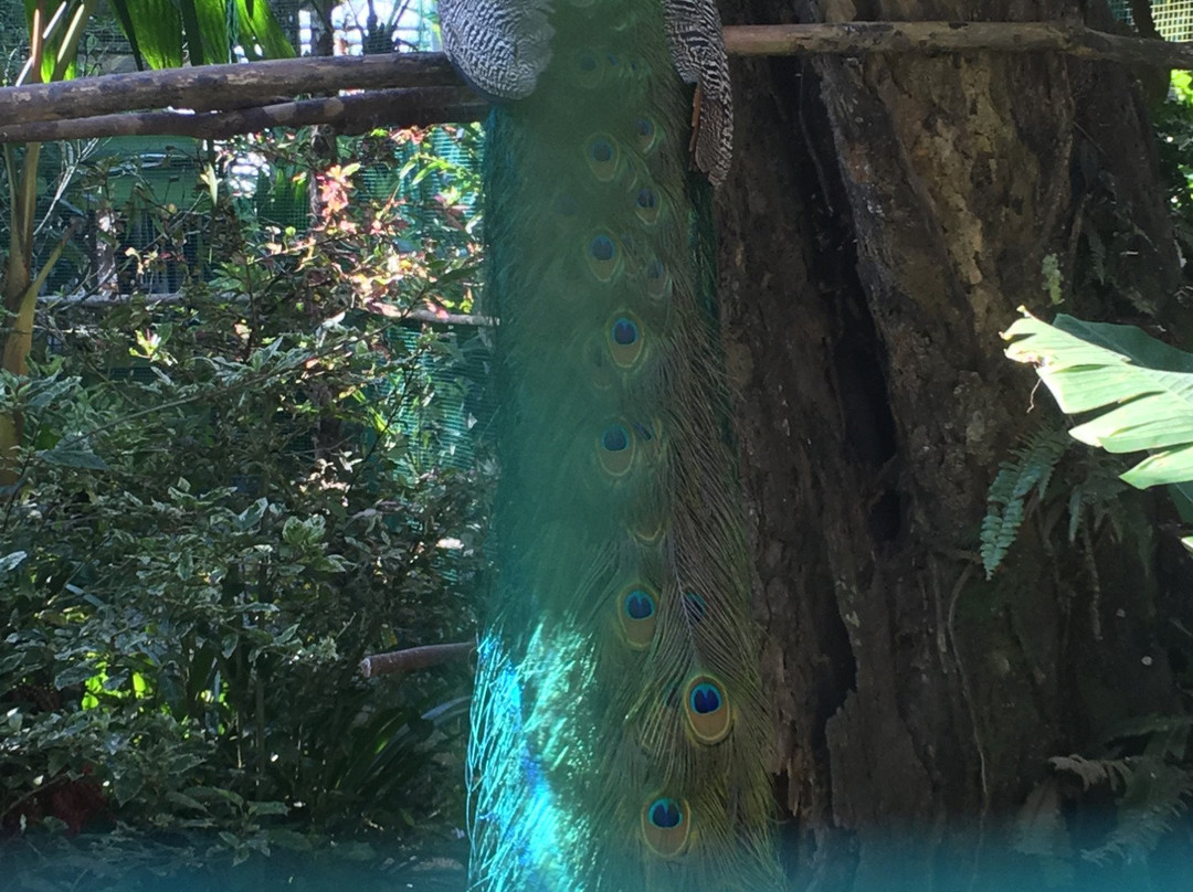 升旗山美景酒店主图