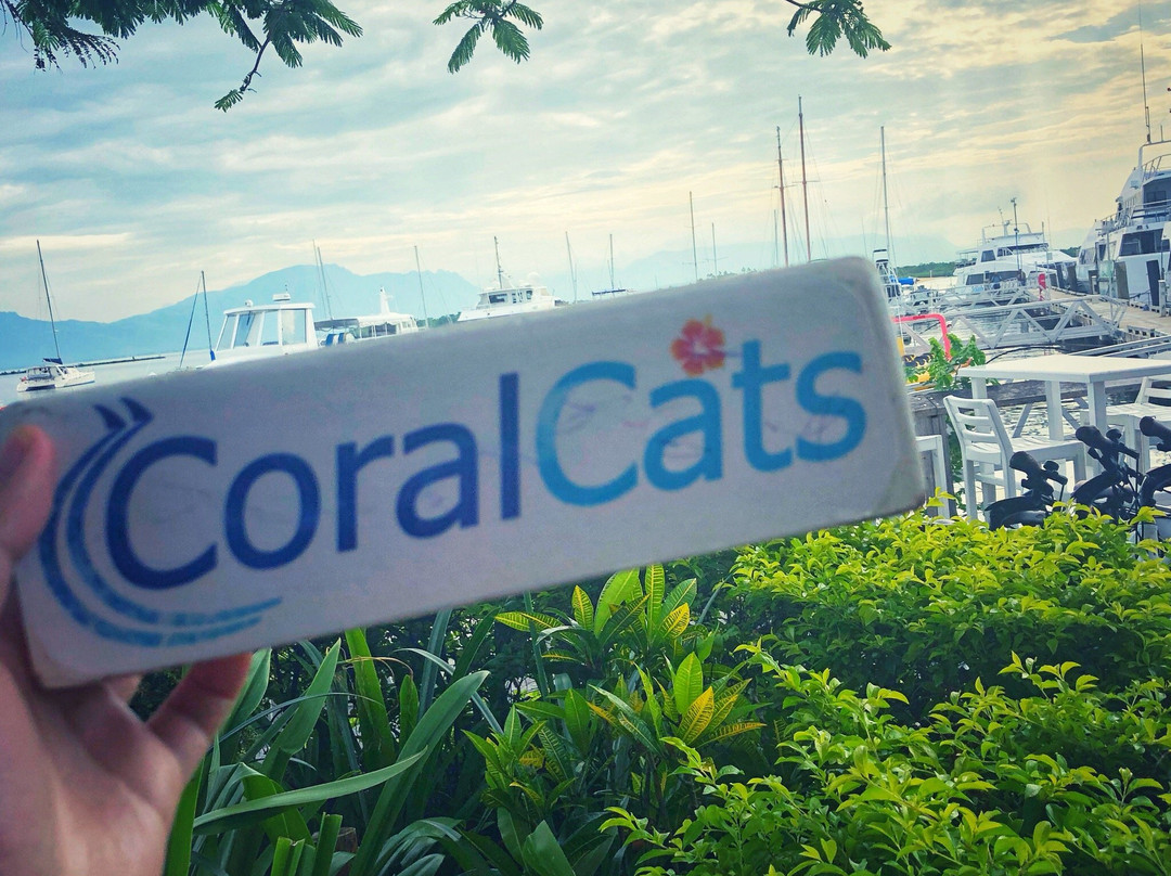 Coral Cats双体船出海一日游景点图片