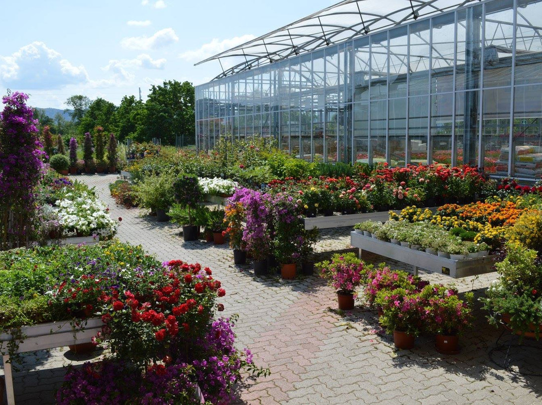 Greenhouse Garden Center-皮斯托亚必去景点