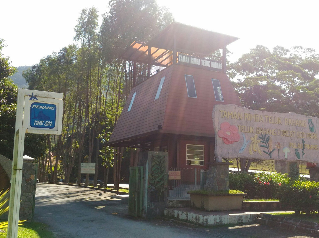 Teluk Bahang Forest Eco Park-丹容武雅必去景点