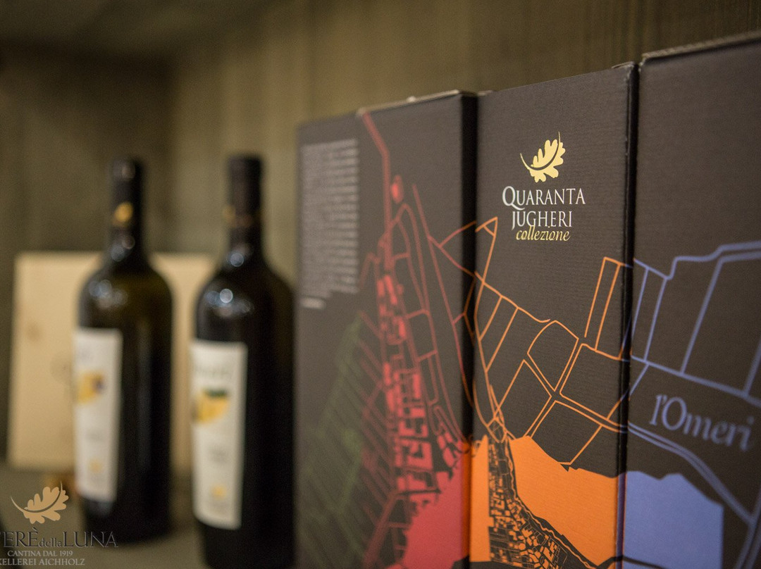 Cantina Roverè della Luna Aichholz景点图片