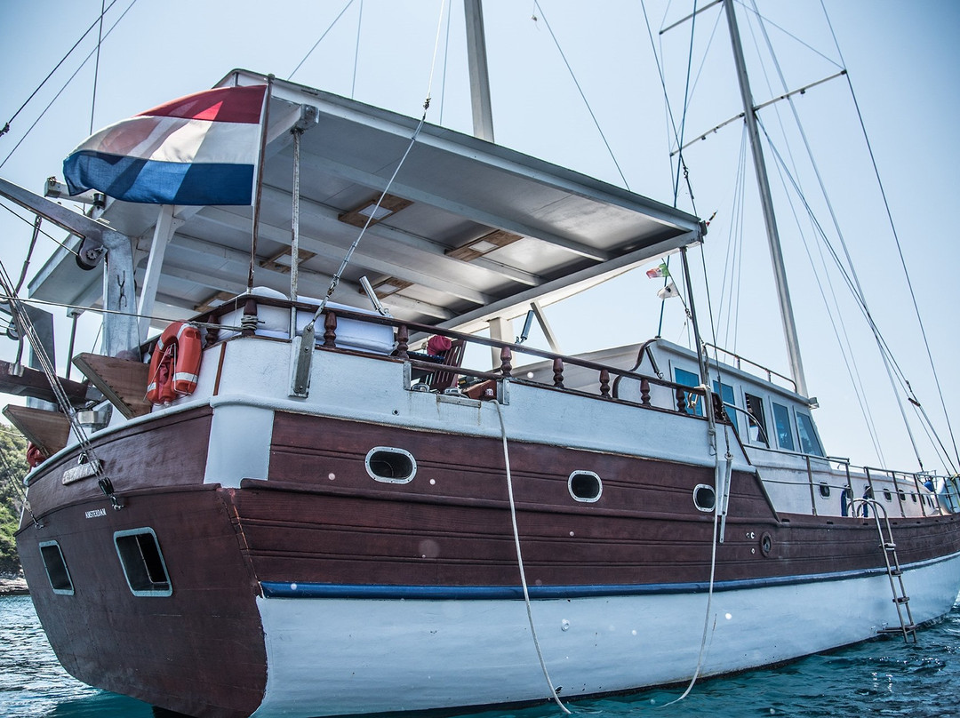 B&B Boat Goldfinger主图