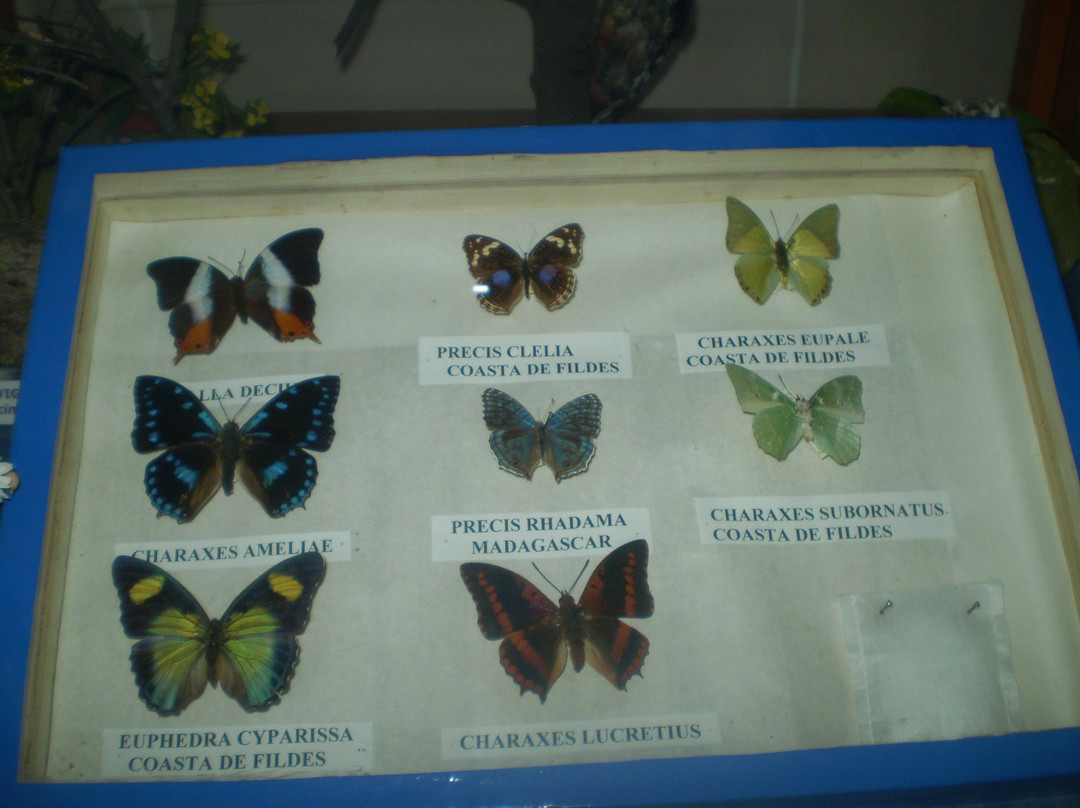 Muzeul judetean de stiintele naturii prahova景点图片