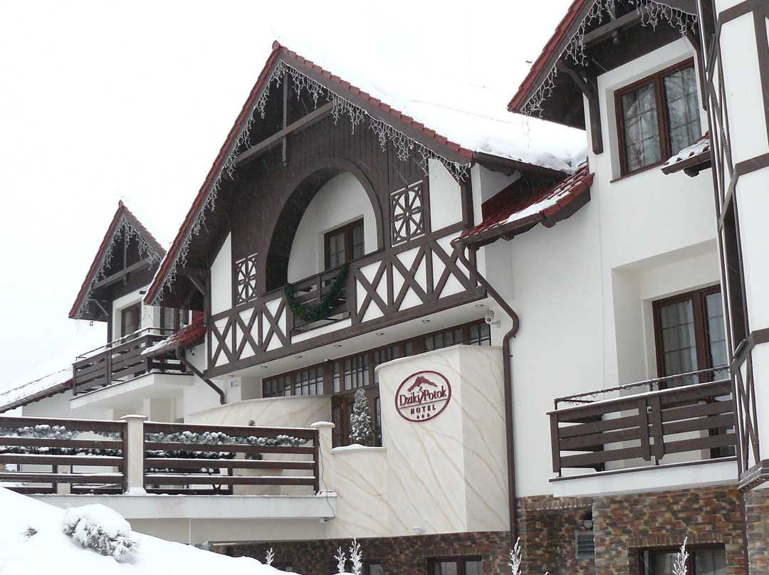 Dziki Potok Hotel & SPA主图