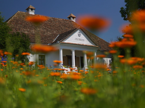 Szentabrahami Organic herb garden
