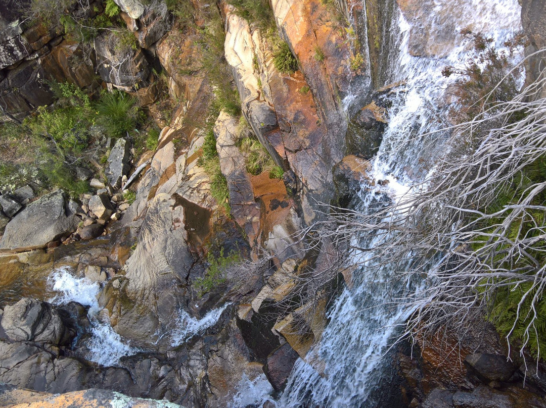 Paddys River旅游攻略图片