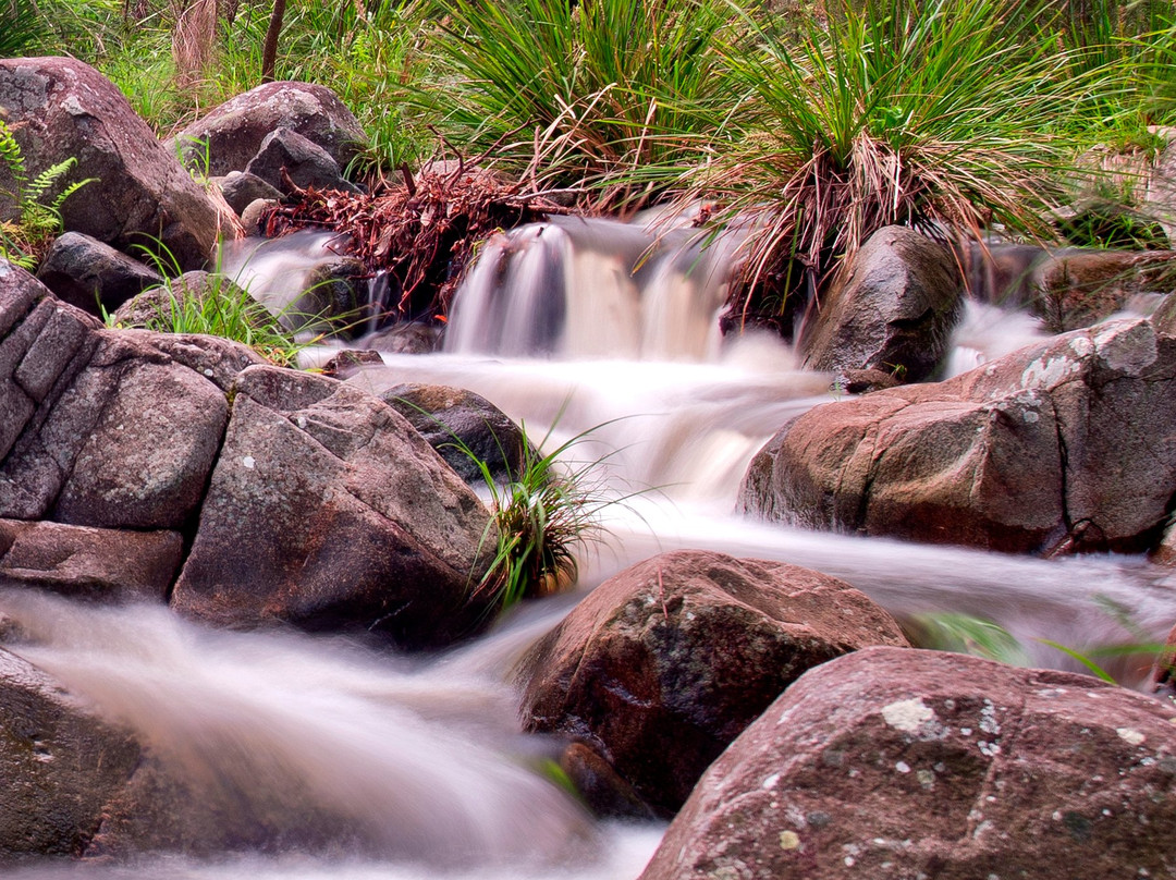 Brisbane Photography Courses-布里斯班必去景点