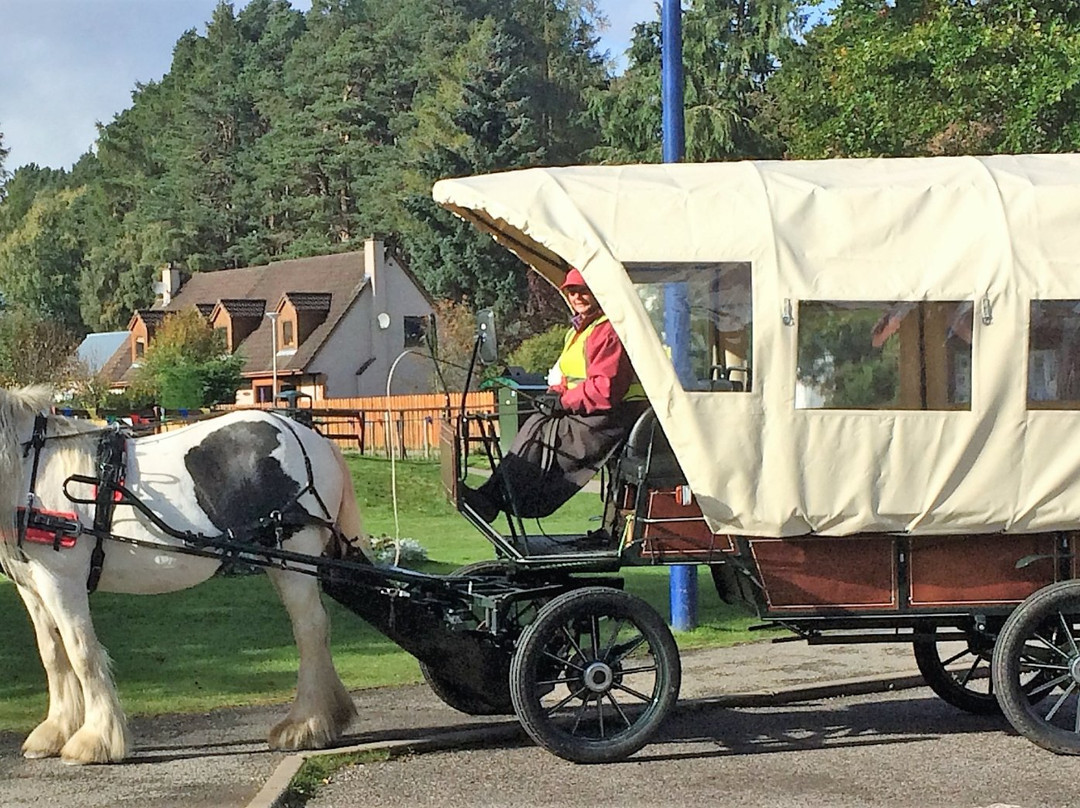 Carrbridge Carriage Driving景点图片