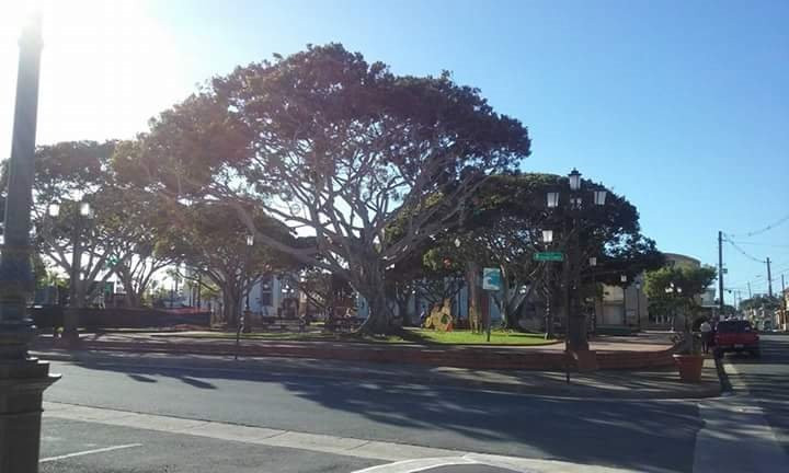 Parroquia San Antonio de Padua-多拉多必去景点
