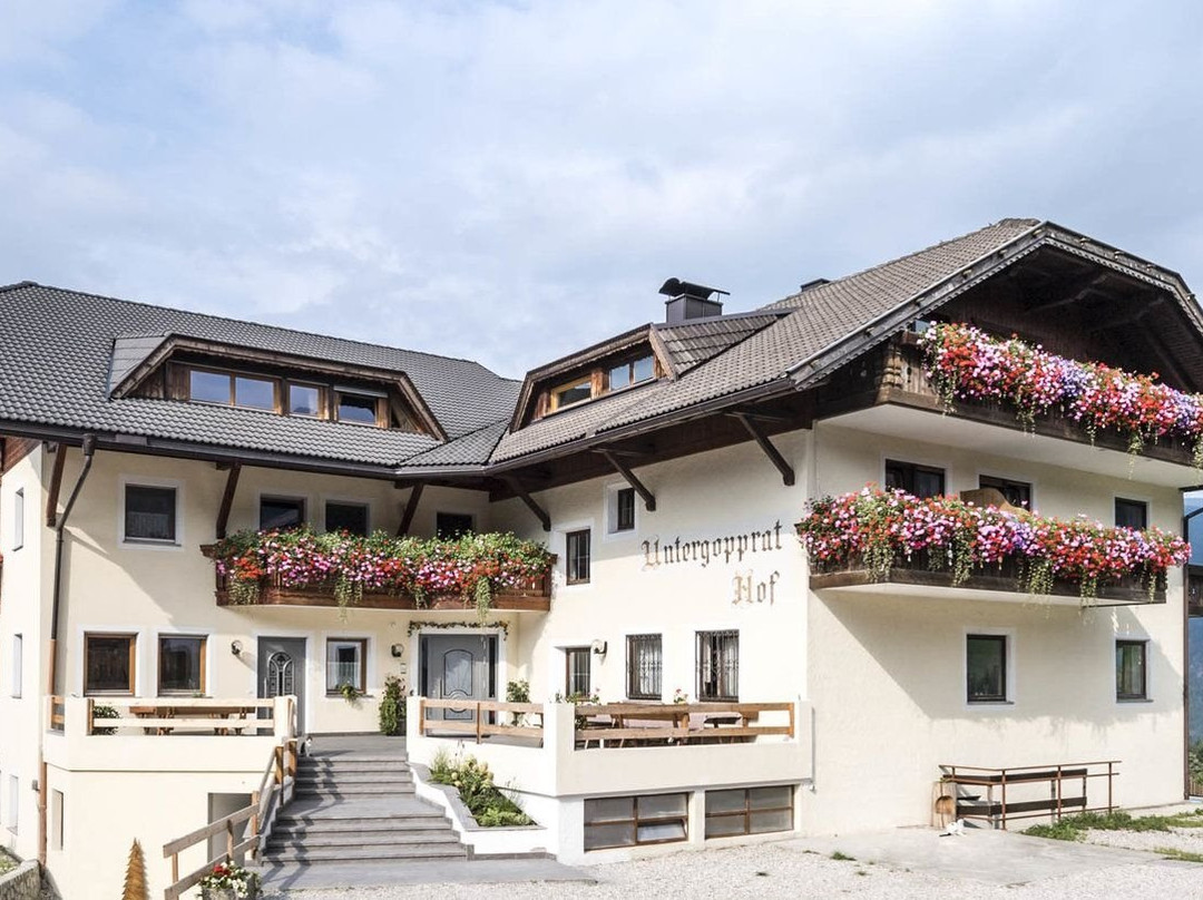 Hotel Untergopprathof
