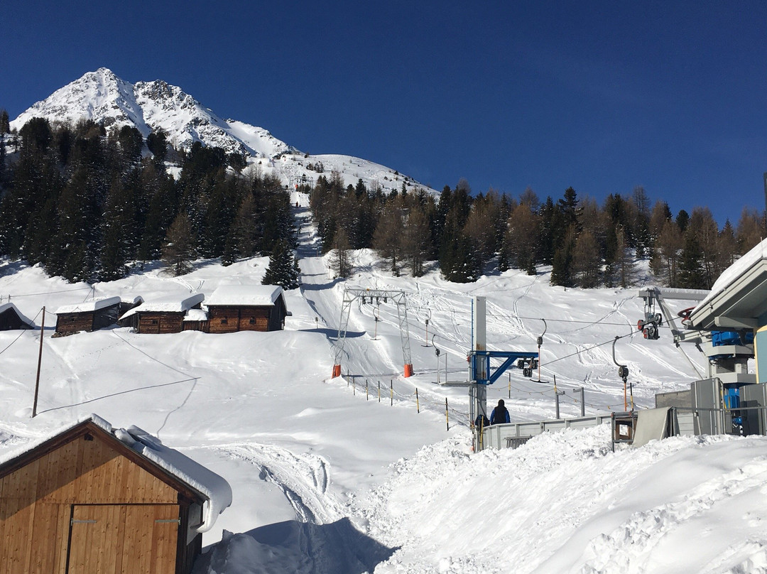 Zwieselstein酒店住宿-Alpengasthof Sonneck