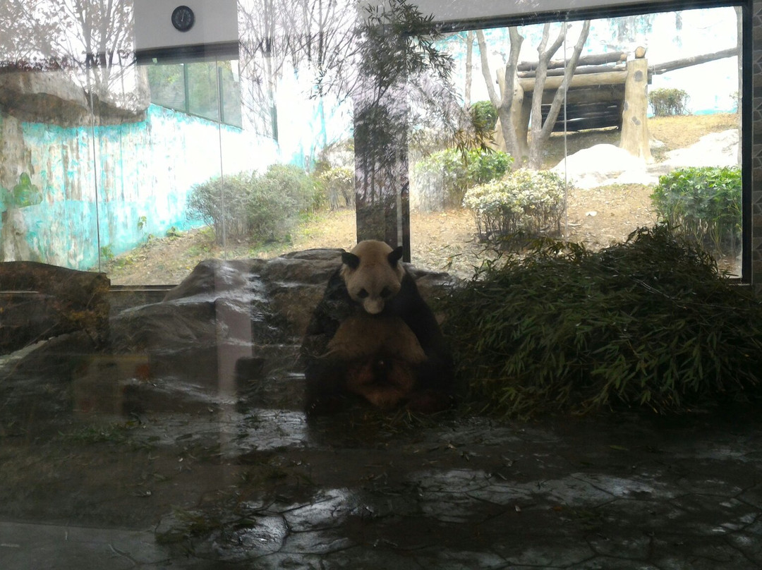 温州市动物园景点图片