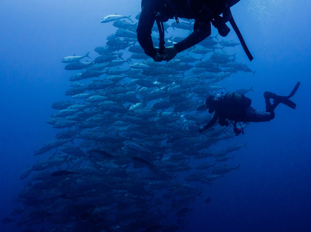 Liquid Dive Adventures景点图片