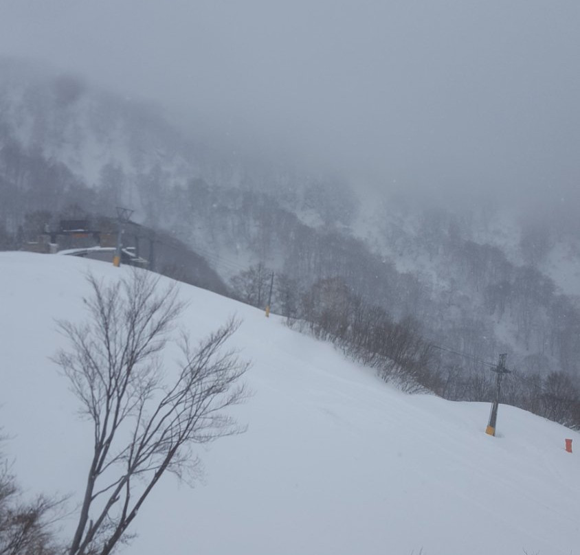 Yuzawa Kogen景点图片