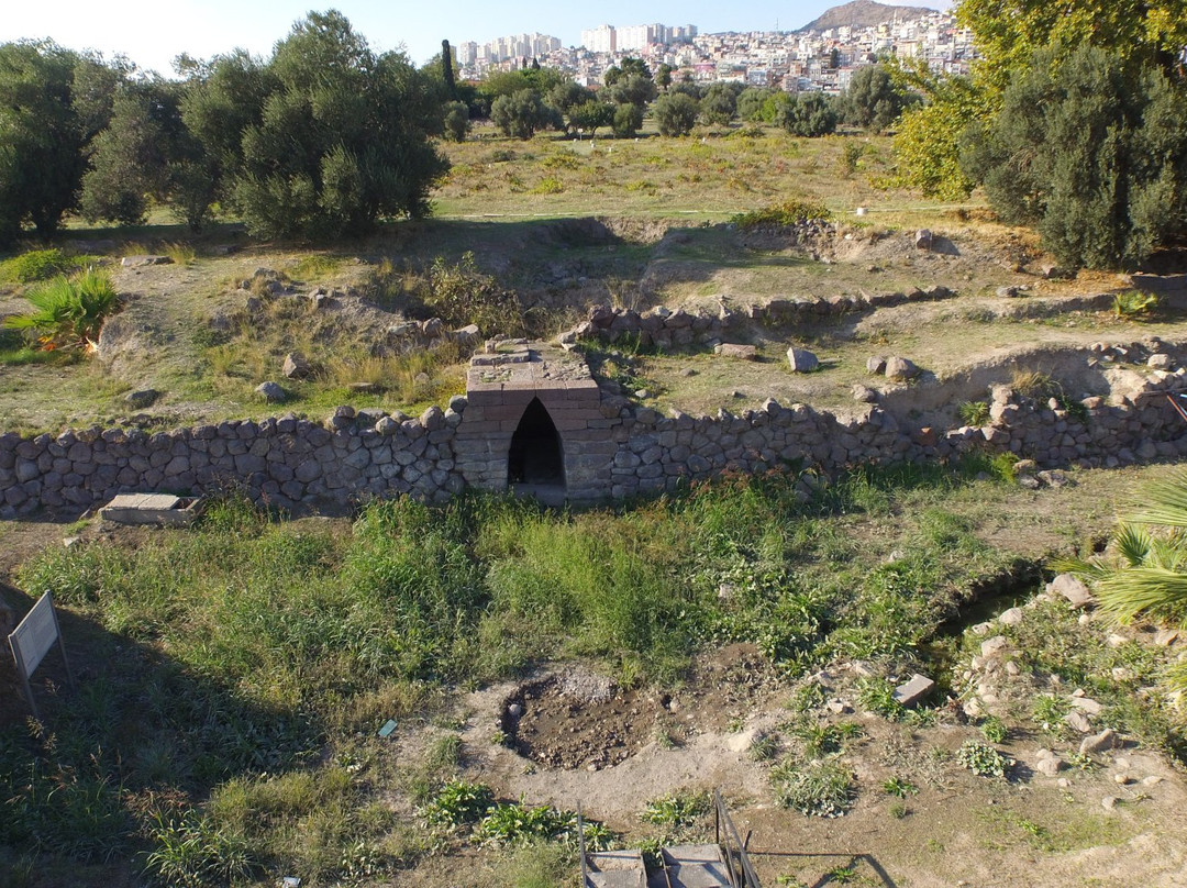 Old Smyrna景点图片