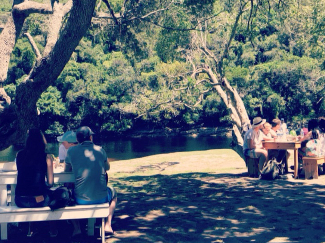 Kaaimans Waterfall-荒野必去景点