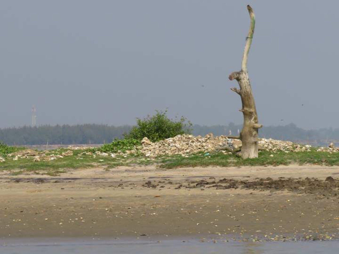 Chilika Wildlife Sanctuary景点图片