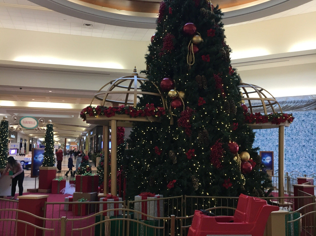 New York Fries - Fairview Park Mall-基奇纳必去景点