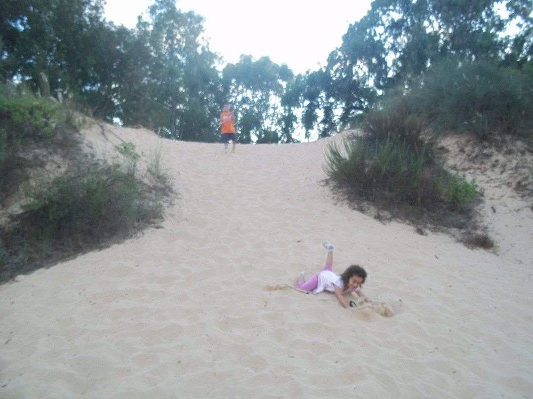 Rubin Stream National Park – The Sorek Stream Estuary-Ness Ziona必去景点