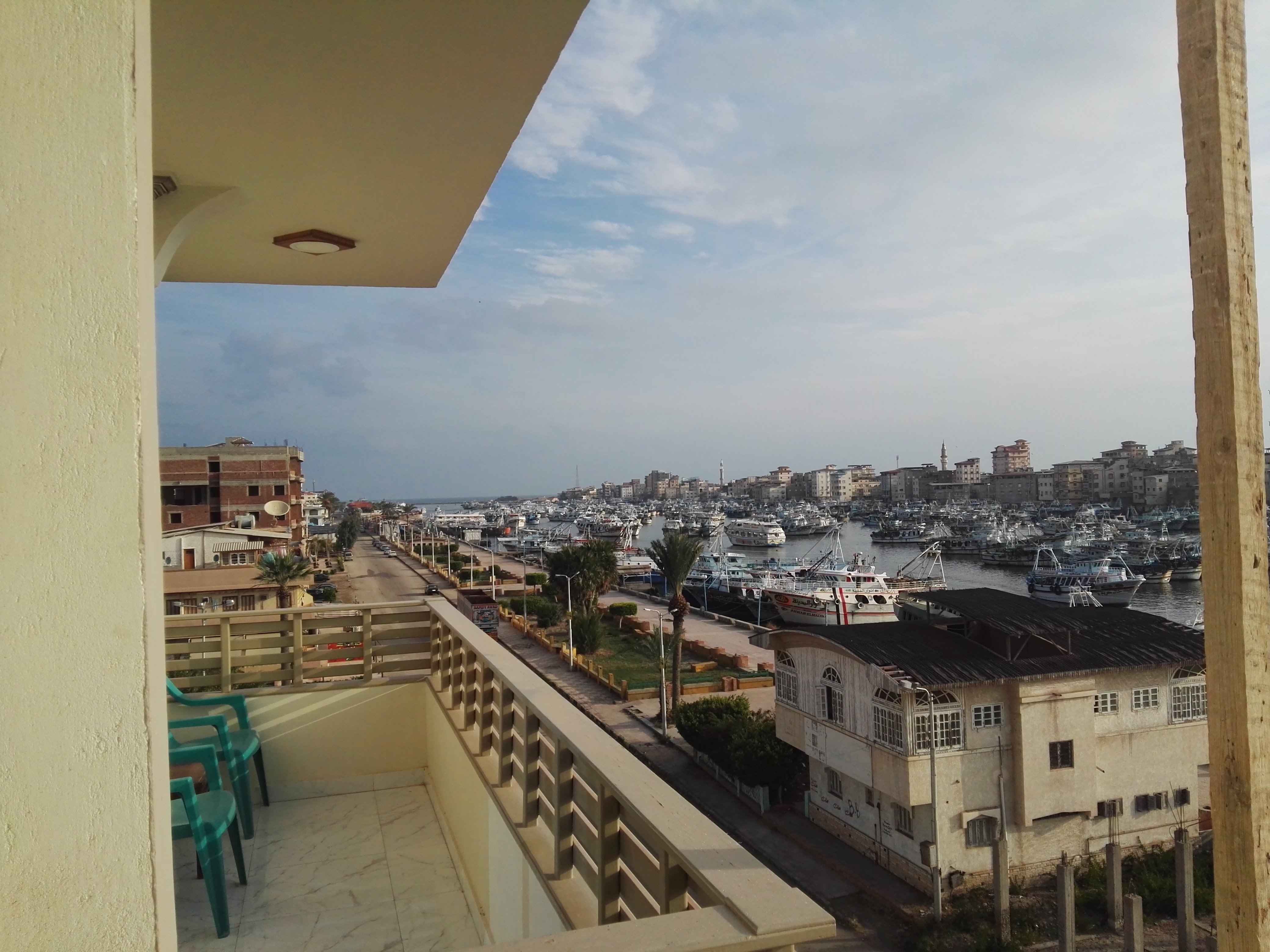 Dolphin Hotel-官方