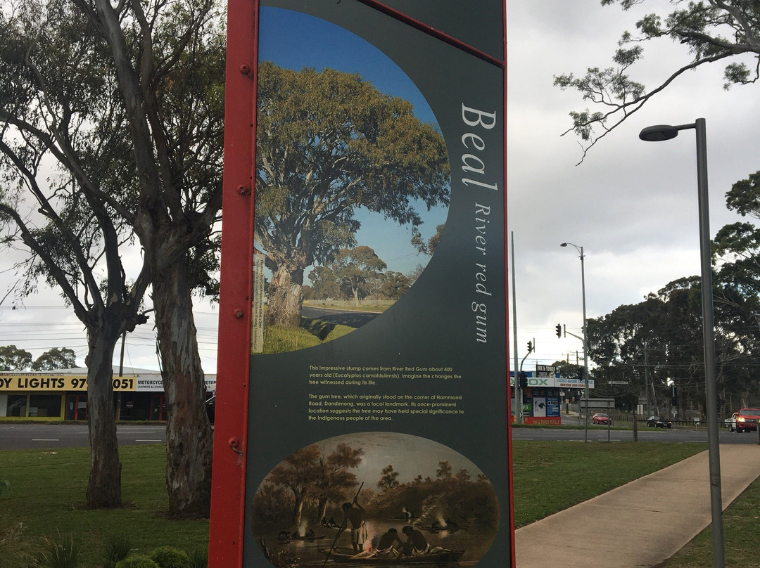 Dandenong Park景点图片