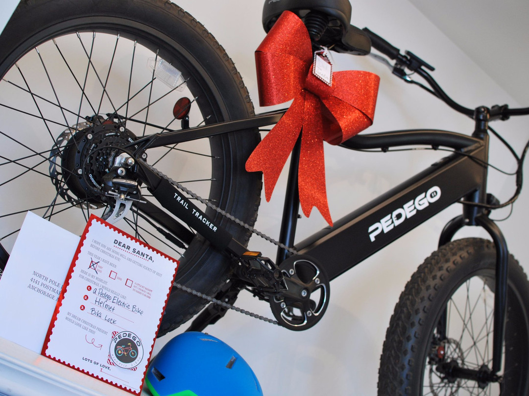 Pedego Electric Bikes-达尼丁必去景点