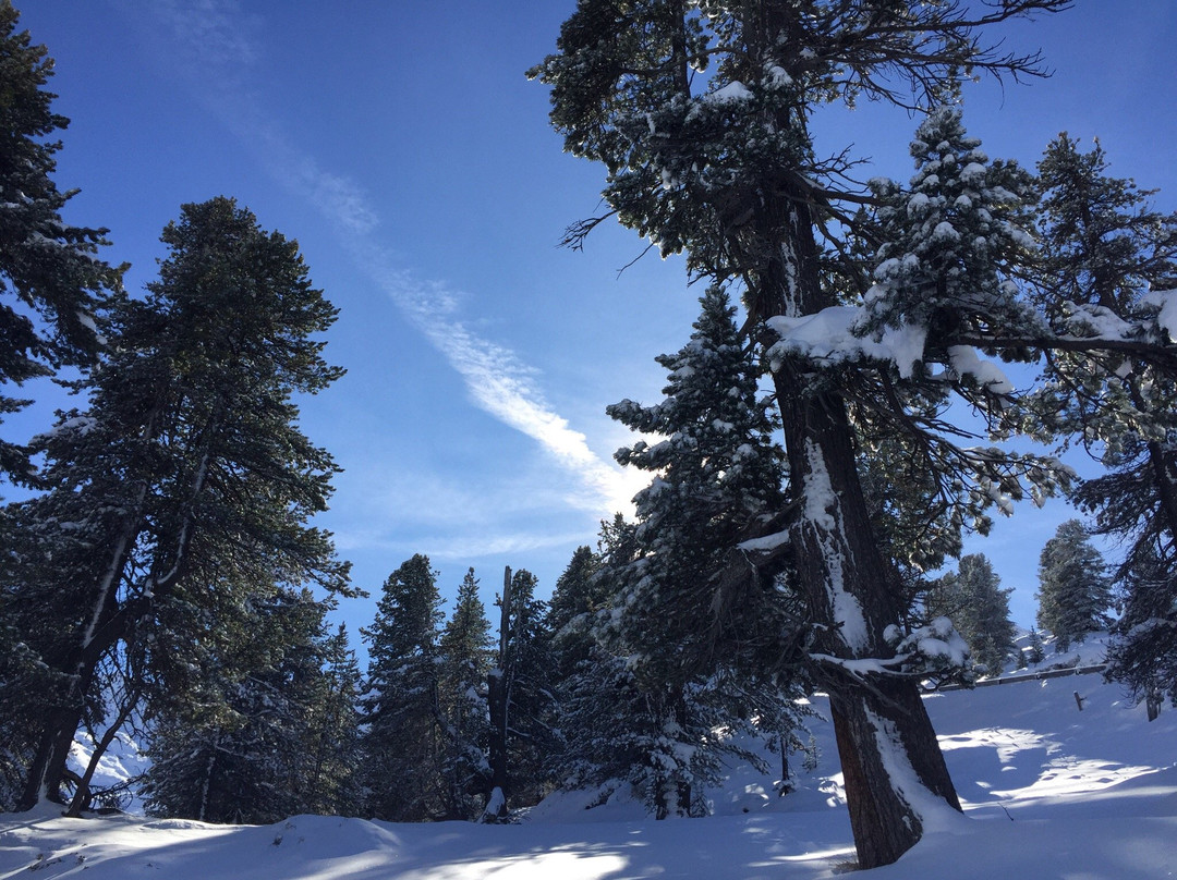 Gletscherpark Fendels-Kaunertal必去景点