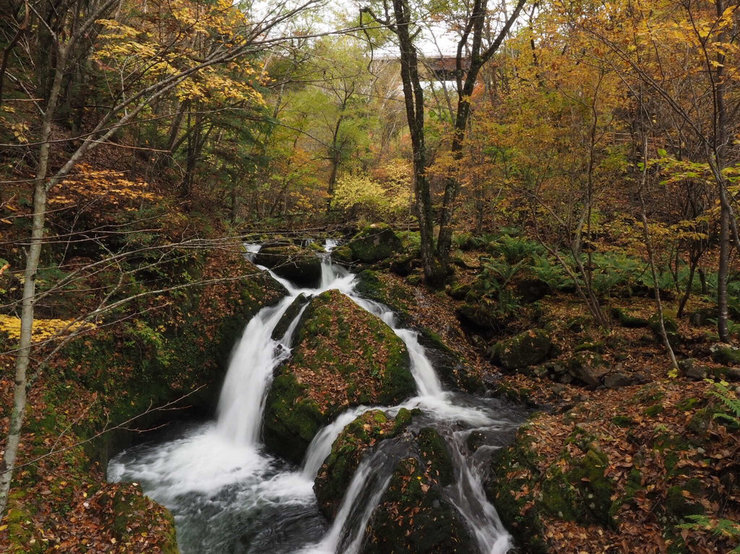 Yachiho Highland Natural Garden-佐久穗町必去景点