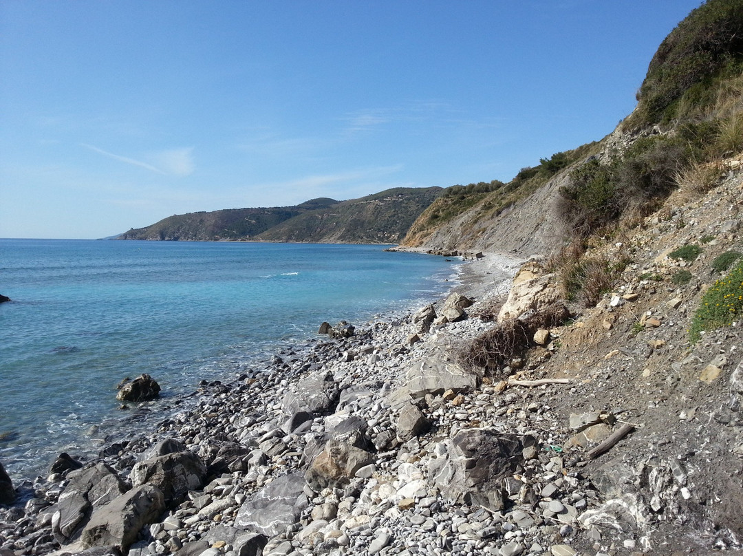 Spiaggia di Pisciotta Marina景点图片