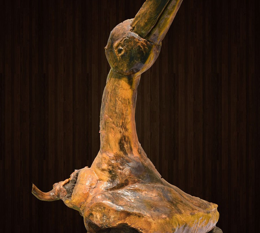 Das Driftwood Museum & Park景点图片