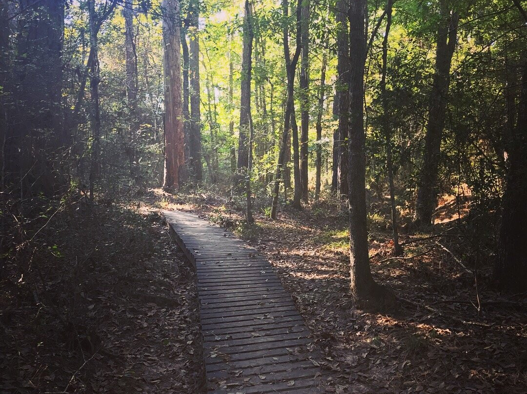 W. G. Jones State Forest-Conroe必去景点