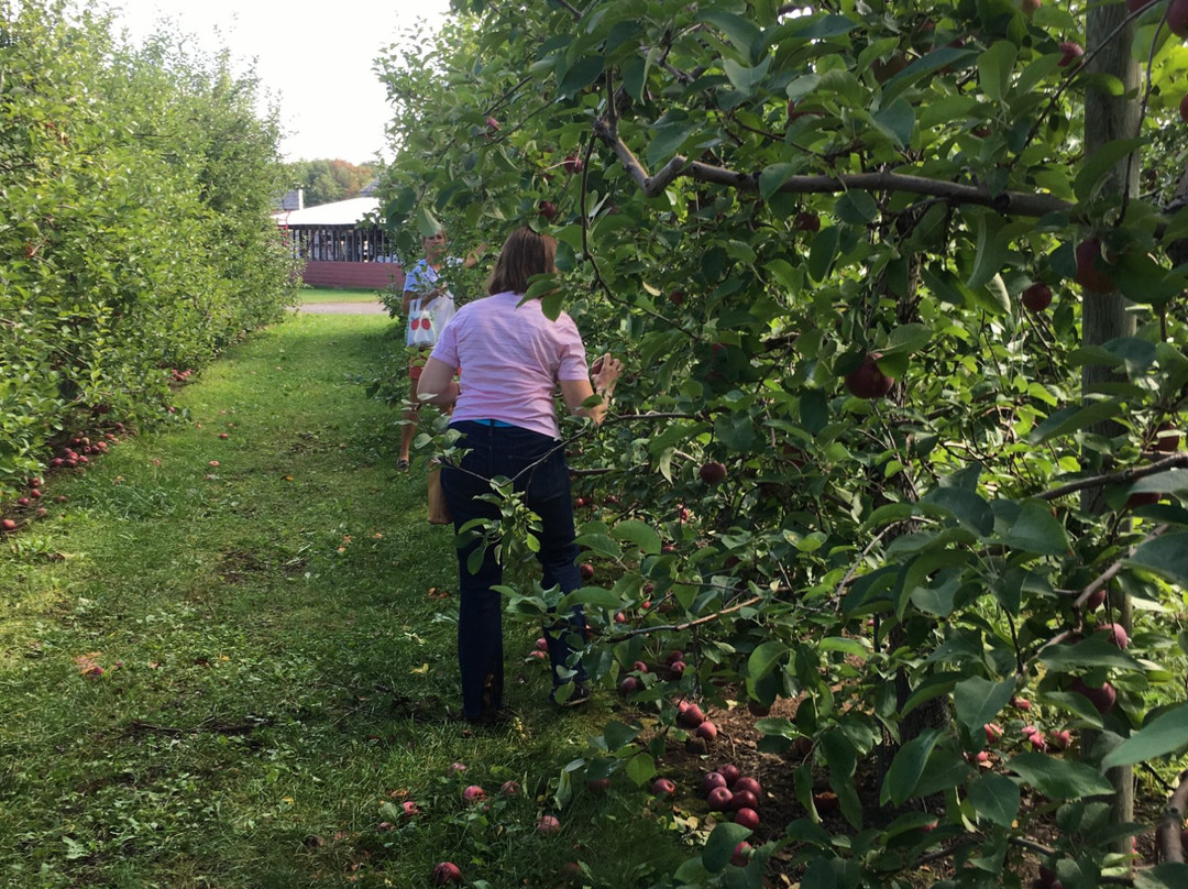 Gunnison Lakeshore Orchards景点图片