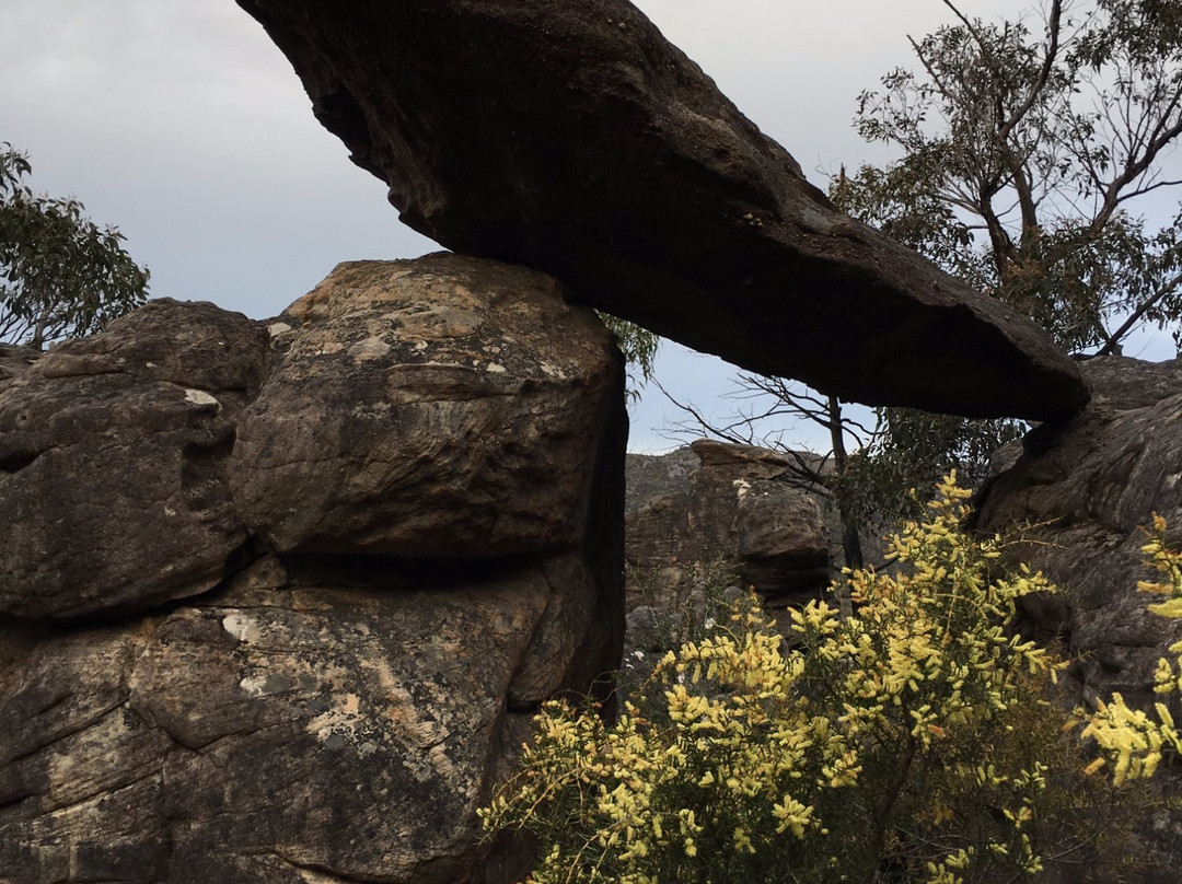 Tower Hill-贺思盖必去景点