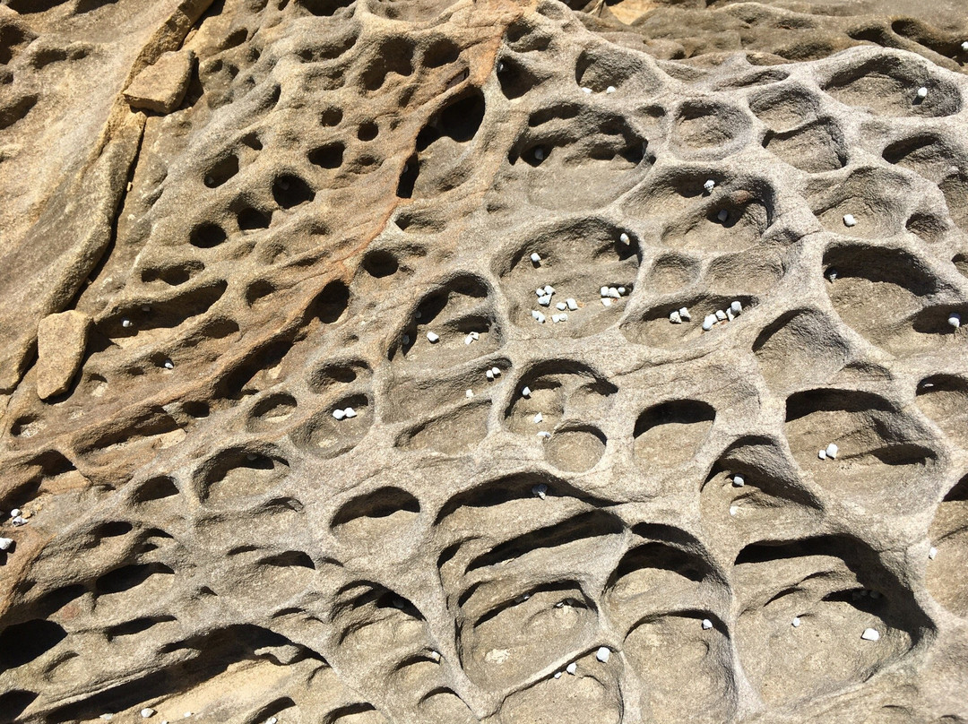 Minokoshi Coast-土佐清水市必去景点