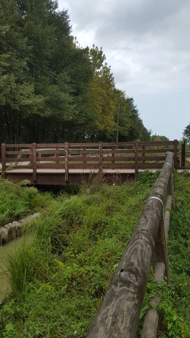 Bosco di Mestre - Bosco dell'Osellino-麦斯特必去景点