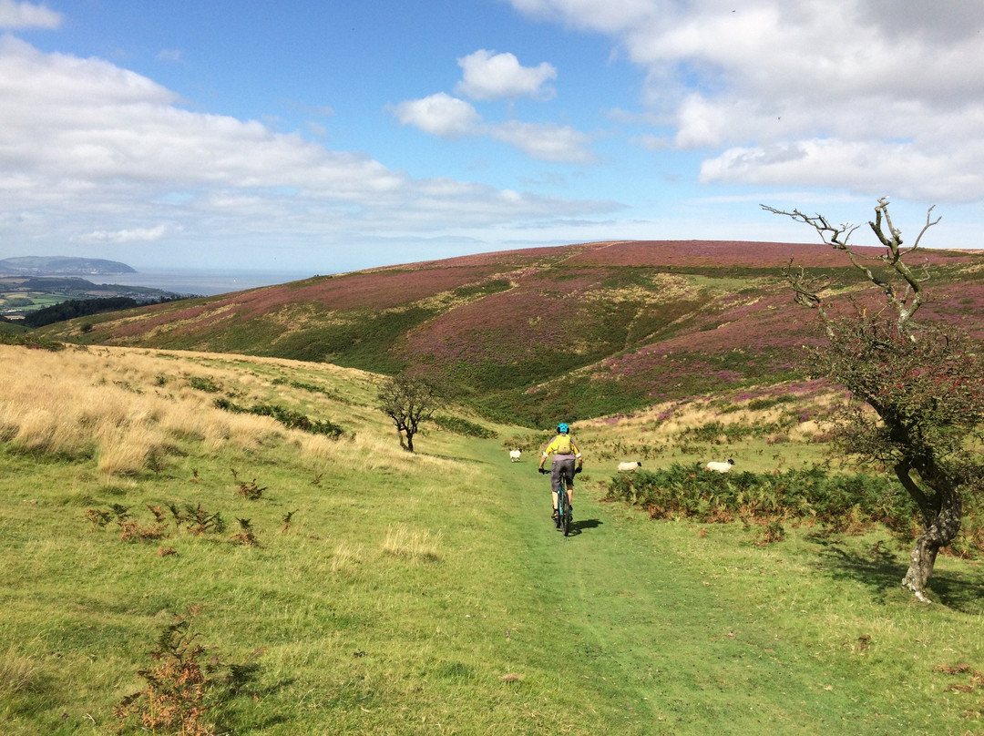 Bike Guide Devon-Sidbury必去景点