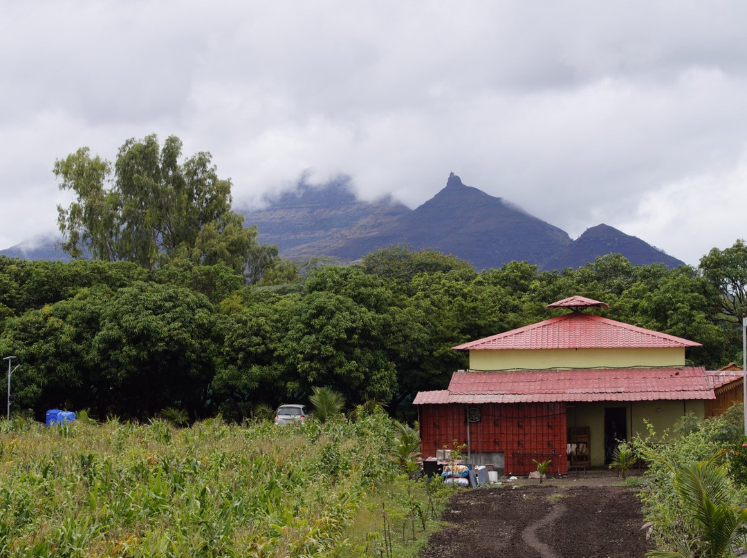 Capital O 67056 Mybhumi Agro Resort