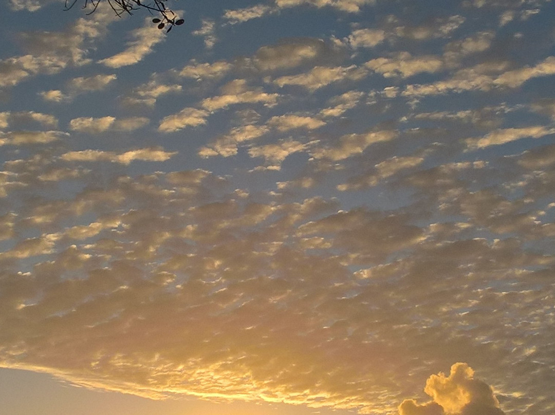 Waitabu Marine Park-塔韦乌尼岛必去景点