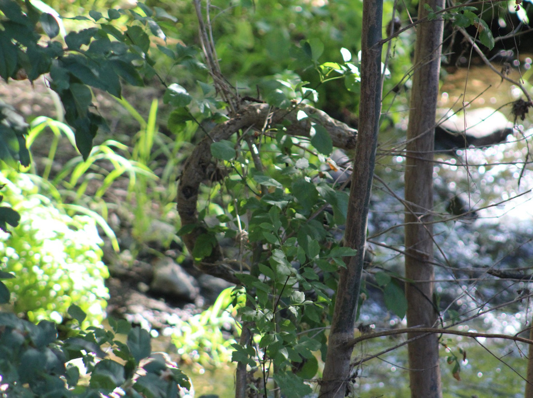 Alamo Creek Bike Trail-瓦卡维尔必去景点