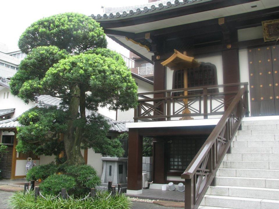 Renko-ji Temple-杉并区必去景点