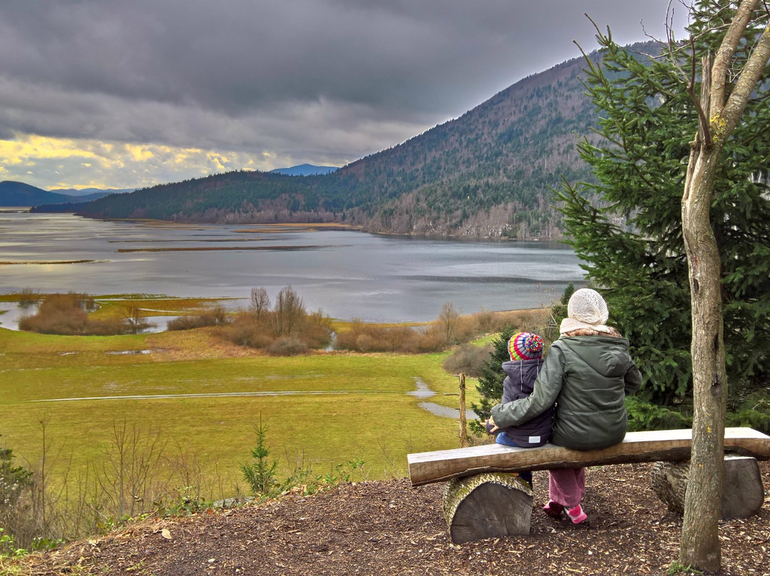 Cerknica Lake-Cerknica必去景点