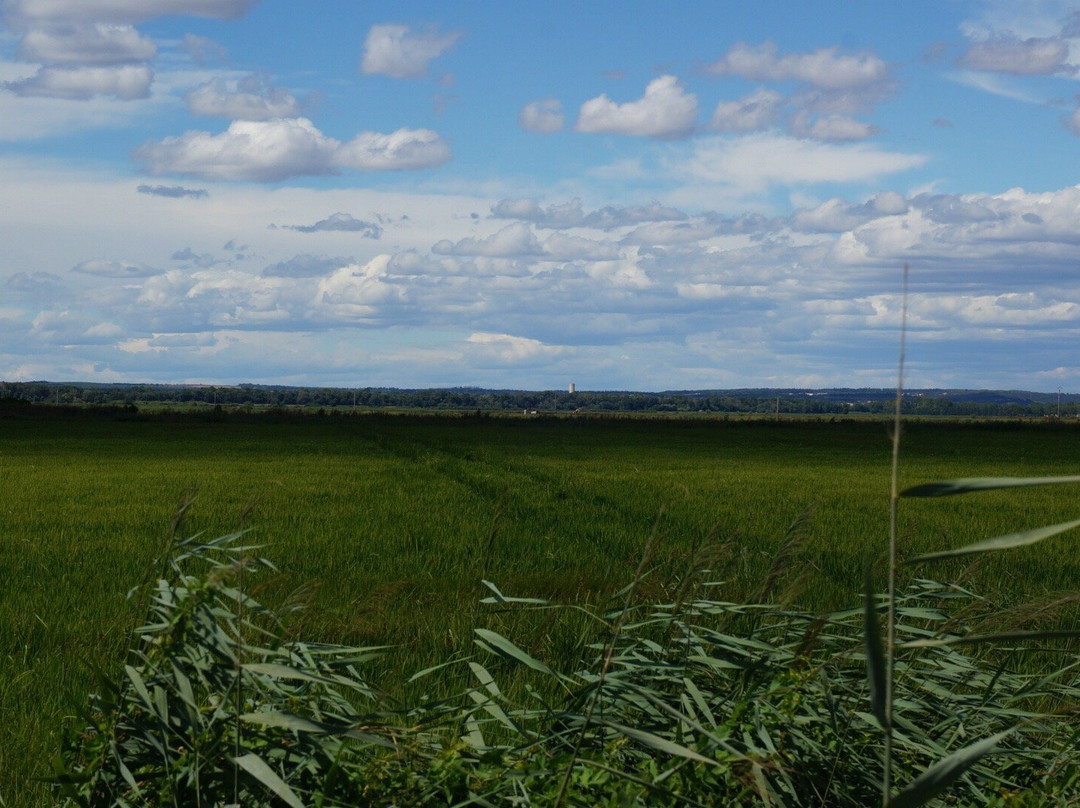 Maison du Riz-Albaron必去景点